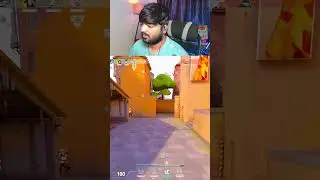 Nerfed Neon ? 😂