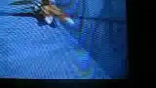 Sonic Adventure 2 DC vs. GC: Dark Chao Garden