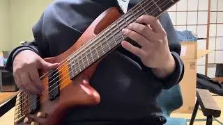 【MNG】【REVIEW】SCHECTER STILETTO STUDIO 6 #bass #basslovers #mng #6stringbass #basslover #review