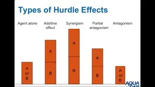 Maximize food safety with water activity, pH, and hurdle effects