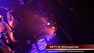 Elflock goes mad - 生きている @The Band Catalog vol.7