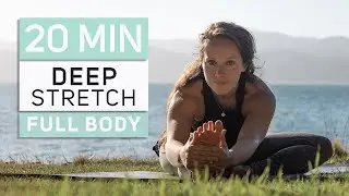 20 Minute Full Body Stretch | Yoga for Flexibility
