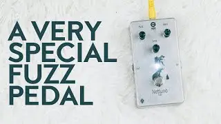 Nettuno fuzz by Dophix - a very unique fuzz circuit