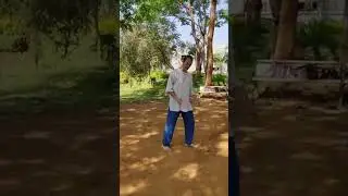 Taiji Quan Walking on One Level - Christoph Eberhard