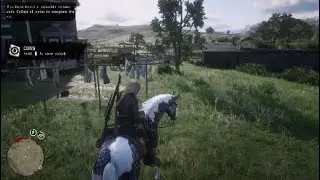 Red Dead 2 RARE 3 common collecables in 5 min. REPEATABLE