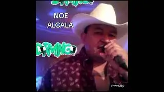 Algo se me va cumbia de tigrillos 