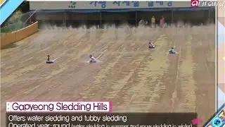 Gyeonggido Gapyeong  water sledding hills(경기도 가평 물썰매)