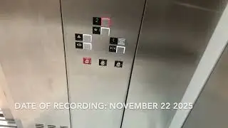 Top 5 Best Elevators of 2025!
