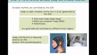 Research Webinar: Sleep Circadian Dysfunction in HD
