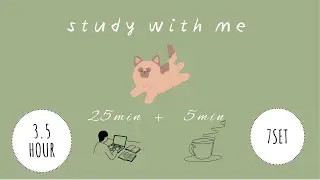 Lo-fi Pomodoro Timer 25/5 ×7set(3.5h)｜with dog🐶 | focus with me｜作業用・勉強用BGM