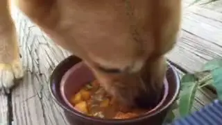 Chow down a bowl of soup