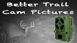 Five Tips for Better Trail Camera Pictures