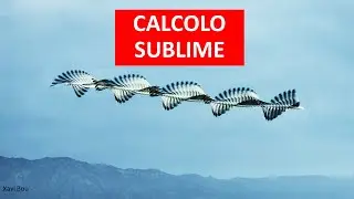 Il Calcolo Sublime, scarto incolmabile tra finito e infinito?