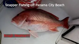 Snapper Fishing in Panama City Beach, FL