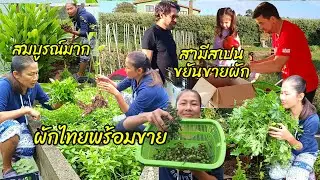 วิ่งหัวหมุน แถมไปเอาของฟรี...17 กันยายน ค.ศ. 2025