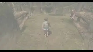 Zelda Twilight Princess 4k 60 FPS Using Lossless Scaling