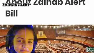 WHAT IS ZAINAB ALERT?