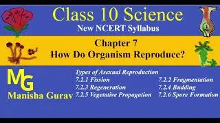 Class 10 | Science | Chapter 7 How Do Organism Reproduce? |Modes of Asexual Reproduction |New NCERT