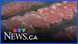Your Neighbourhood: Dumouchel Meat & Deli