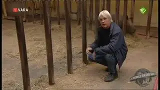 Rhino Escapes Cage Vine
