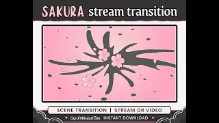 Pink Cherry Blossom Twitch / YouTube Stream Transition | Sakura OBS Stinger