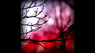 11 - Outro