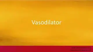 Pronunciation of the word(s) 