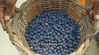 Senior Health Secrets Fruits to Eat & Avoid for Aging Well!
