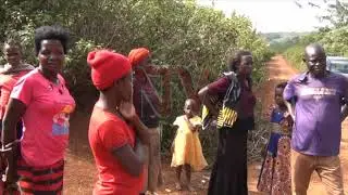 OKUKUKUSA EBY’AMAGUZI: E Busia eriyo akubiddwa amasasi agamusse