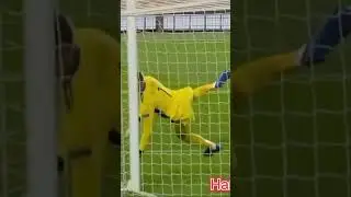 David Degea🔥#daviddegea #goalkeeper