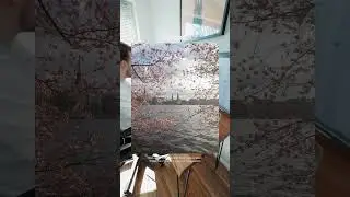 Cherry Blossom Before/After