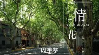 周子寒 - 情花【動態歌詞/Lyrics Video】