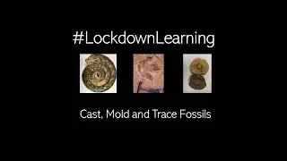 Cast, Mold, and Trace Fossils! (#LockdownLearning - Day 6)