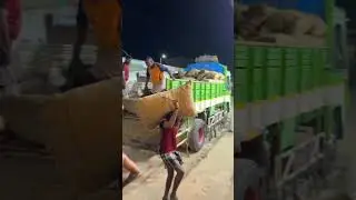 Madurai paravai market 💪🥰