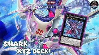 SHARK XYZ DECK!  | New Support |  Replays  -[ Yu-Gi-Oh! Master Duel ]