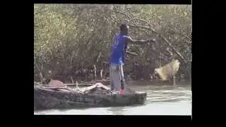 Гамбия-Природен резерват Абуко       Gambia-Abuko natural reserve