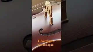VIOLONCELO EAGLE CE310