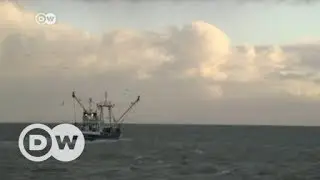 Brexit throws Europe's fishing industry into troubled waters | DW English