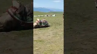 The camel looks like a fake at rest