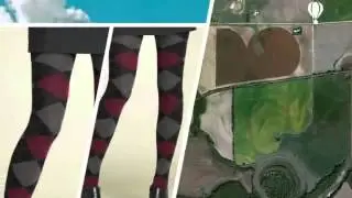 Sweater Tights