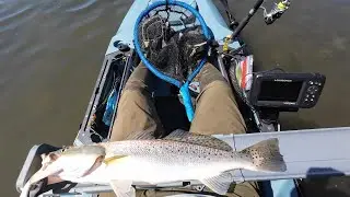 Big Gator Trouts at The Skyway Bridge St.Pete