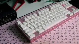 Salamander w/ Lubed Marshmallow Sound Test