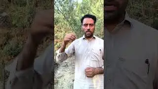 Pashtoon Qoom parast awr operations #news #stitch #booktok #duet #pti