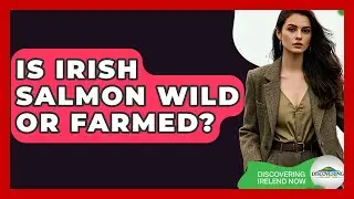 Is Irish Salmon Wild Or Farmed? - Discovering Ireland Now