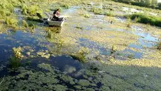 MOV00015