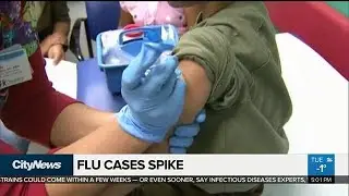 Spike in flu cases