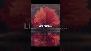 Everyday is a new beginning| Life quotes|#shorts #yt #youtubeshorts #trendingshorts #viralvideo #fyp