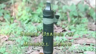 Miniwell L600        filter alkalinefilter strawstraw lamp   AliExpress
