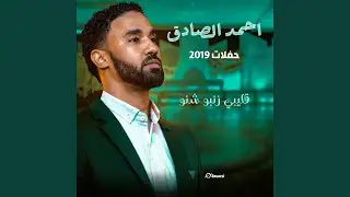 قليبي زنبو شنو (Live)