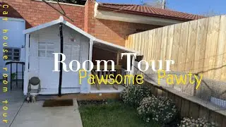 We built the ULTIMATE outdoor catio & luxury suite | Melbourne's best cattery tour